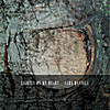 Sara Daniels: Lightly On My Heart