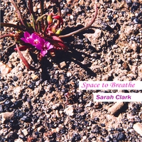 Sarah Clark : Space to Breathe