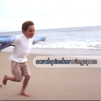 Sarah Pinsker : Wingspan