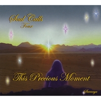SARANYA: Soul Calls Four ~ This Precious Moment