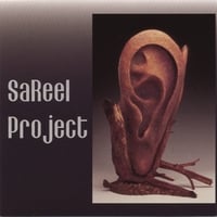 SAREEL PROJECT: SaReel Project