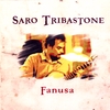 SARO TRIBASTONE: Fanusa