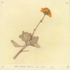 SARSAPARILLA: No Such Thing At All [ep]