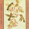 Saturnalia Trio: Hummingbirds