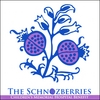 THE SCHNOZBERRIES: Children's Memorial Hospital Benefit
