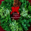THE SWAMP COOLERS: Christmas Classics