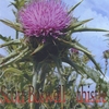 SCOTT BOSWELL: Thistle