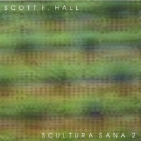 SCOTT F. HALL: SCULTURA SANA 2