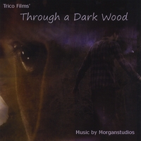 Morganstudios : Through a Dark Wood