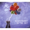 STEVEN COURTNEY + HIS BAND OF FRIENDS: Hootenanny In The Sky