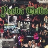SANTOS DE LOS ANGELES: Yerba Tribe: Love & Revolucion