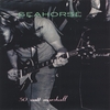 SEAHORSE: 50 Watt Marshall