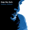 click here to listen for free or actually buy my new CD SEAMUS ANTHONY: Dogs May Bark