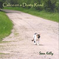 SEAN KELLY: Calico on a Dusty Road