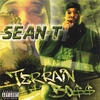 SEAN T: Terrain Boss