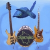 THE SEA TURTLES: The Sea Turtles