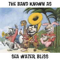 The band known as Sea Water Bliss : The band known as Sea Water Bliss