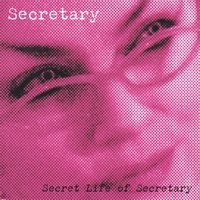 Secretary : Secret Life of Secretary