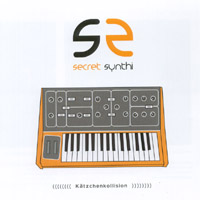 SECRET SYNTHI: Katzchenkollision