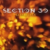 SECTION 30: Someday