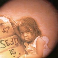 SEED IS . . .: Seed Is . . .