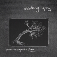 Seething Grey : MirrorComputerChair