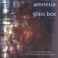 Jonathan Segel : amnesia glass box