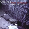 THE SELECTER: Cruel Britannia