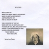 SELMA TEPPER: In America -now And Forever