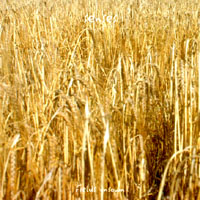 SENSES: Fields Unsown