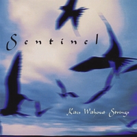 SENTINEL: Kites Without Strings
