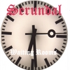 Serundal: Waiting Rooms