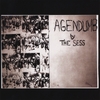 THE SESS: Agendumb