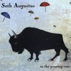 SETH AUGUSTUS: To The Pouring Rain