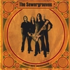 THE SEWERGROOVES: Constant Reminder