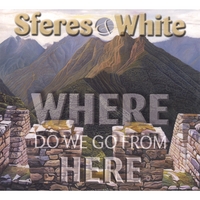 Sferes & White : Where Do We Go From Here