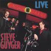 STEVE GUYGER: Live at the Dinosaur