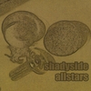 SHADYSIDE ALLSTARS: Shadyside Allstars