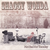 Shaggy Wonda : Not Bad For Tuesday