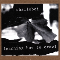 Shalloboi : Learning How to Crawl