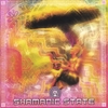 VARIOUS ARTISTS: Shamanic State