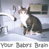 SHARON: Your Baby's Brain