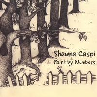 Shawna Caspi : Paint by Numbers