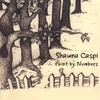 SHAWNA CASPI: Paint by Numbers