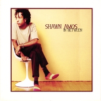 Shawn Amos : In Between