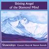 SHAWNDEYA: Shining Angel of the Diamond Mind