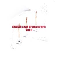 V/A : Shawn Lane Remembered vol II