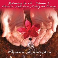 Shawn Livingston : Balancing the Qi Vol. 1 Music for Acupuncture, Healing and Massage. Double disc album.