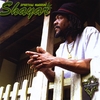 Shayar: Spiritual Warrior