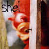 SHEL: shel